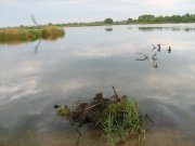 IMG_0392.jpg
