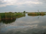 IMG_0393.jpg