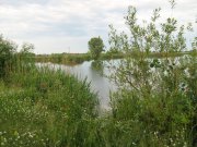 IMG_0394.jpg