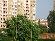 IMG_0180.jpg