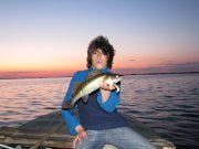 IMG_0295.jpg