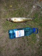 IMG_0297.jpg