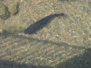 IMG_5800.JPG