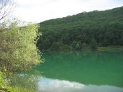 Копия IMG_6311.JPG