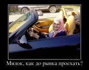 5403932_milok-kak-do-ryinka-proehat.jpg
