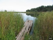 IMG_7437.JPG
