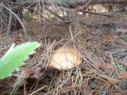 DSCN0891.jpg