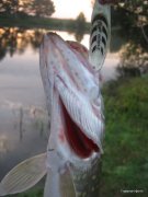 1-IMG_0033.JPG