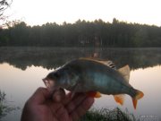 1-IMG_0039.JPG