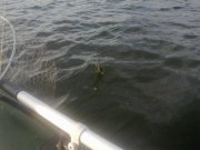 21082012021.jpg