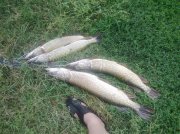 24082012023.jpg