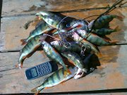 28082012228.jpg
