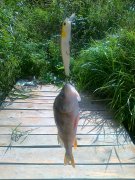 28082012225.jpg