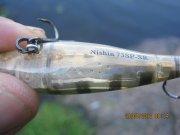 IMG_0371.JPG