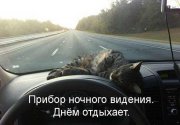 1344963193_doroga-2012-9.jpg