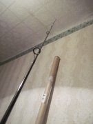 IMG_1351_3.jpg