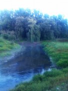 IMAG0579.jpg
