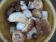 IMG_1024.JPG