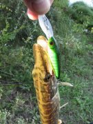 IMG_3148.JPG
