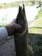 IMG_3157.JPG