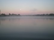 P9012354 [].JPG