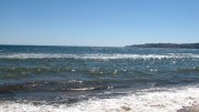 IMG_1470.jpg
