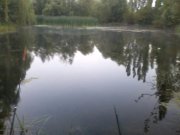 IMG_20120902_063333.jpg