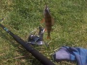 IMG_20120902_130010.jpg