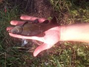 IMG_20120902_130520.jpg