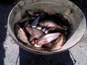 IMG_20120902_142707.jpg