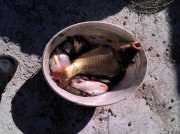 IMG_20120902_142746.jpg