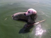 IMG_20120826_125505.jpg