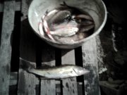 IMG_20120901_203052.jpg
