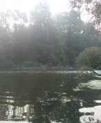 DSC_0041.jpg
