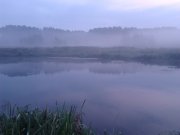IMG_20120904_071451.jpg