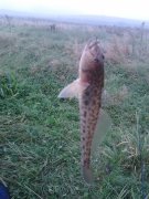 IMG_20120904_072905.jpg