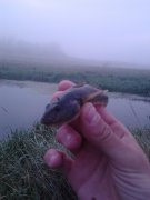 IMG_20120904_073300.jpg
