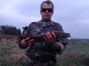 IMG_20120904_094137.jpg