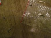 IMG_3422.jpg