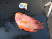 IMG_4294.jpg