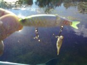 05092012331[1].jpg