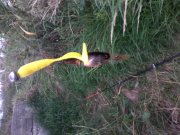 IMG_20120906_193759.jpg