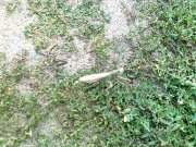 Фото0876.jpg