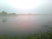 Фото0196.jpg