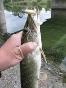 IMG_3164.JPG