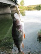 IMG_3167.JPG