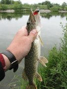 IMG_3169.JPG