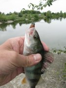 IMG_3171.JPG