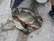 IMG_0852.jpg