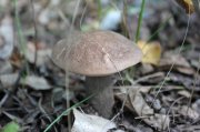IMG_0054.jpg